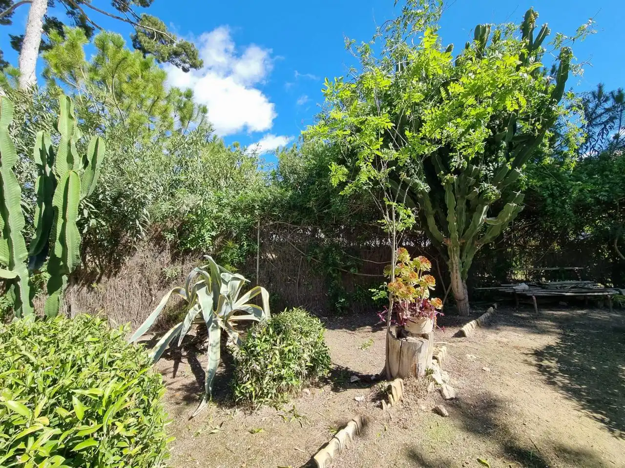 Garten von Gebäude zum Verkauf in Sant Joan d'Alacant
