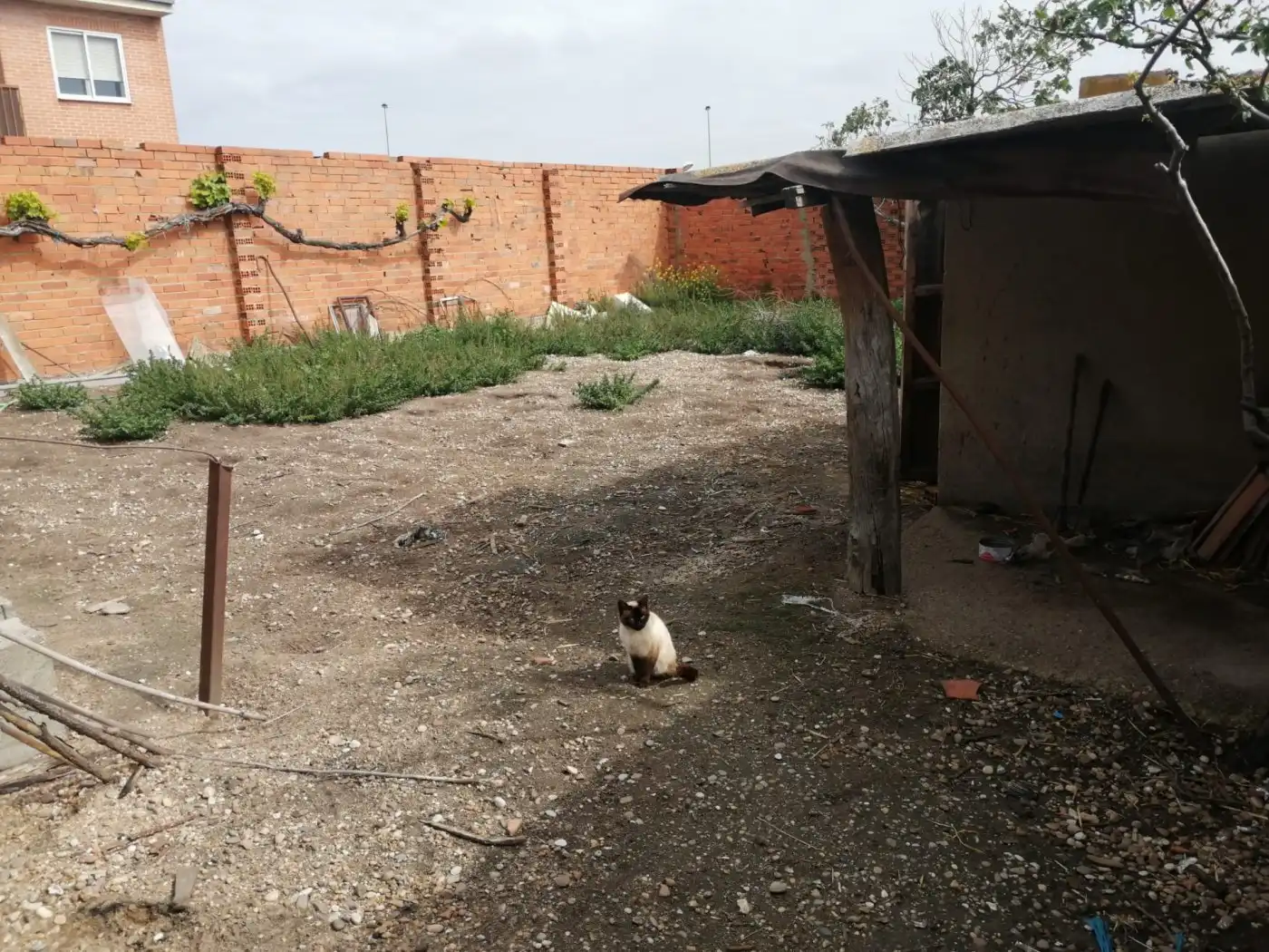 Terreni e lotti in vendita a San Isidro - Espíritu Santo, imagen 8