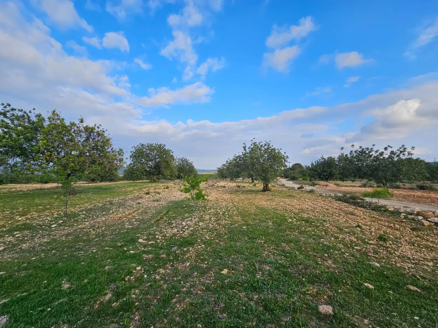 Finca rústica en venta en Chulilla