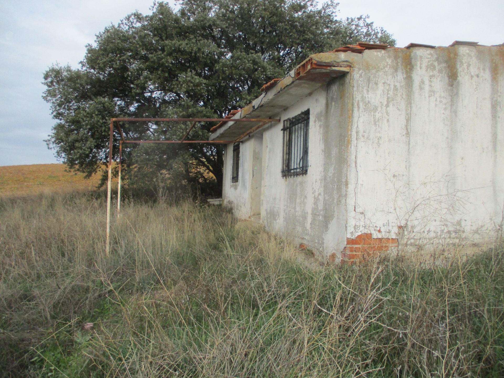 Exterior view of Land for sale in El Molar (Madrid)