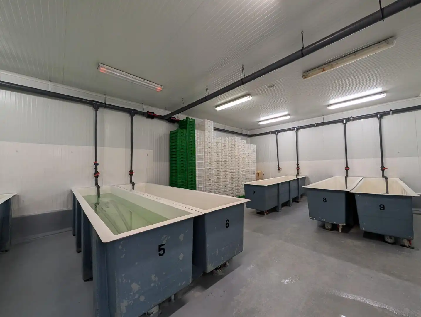 Nave industrial en venta en Ayamonte ciudad, imagen 7