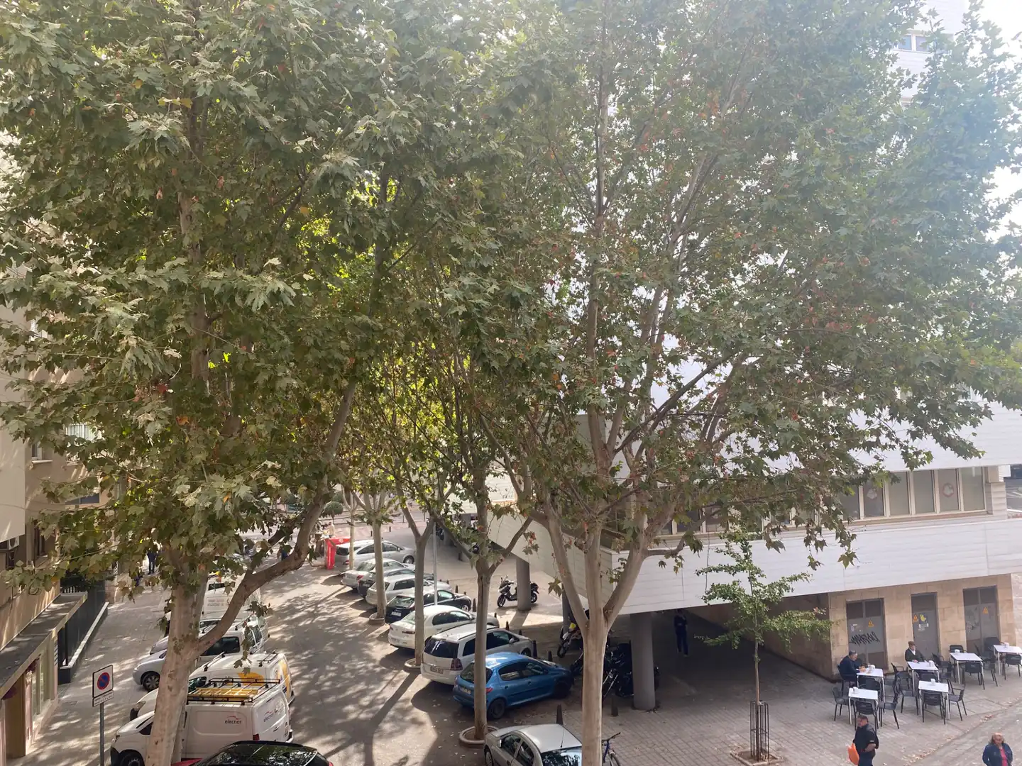 Wohnung zum Verkauf in Calle Olivo, La Morería