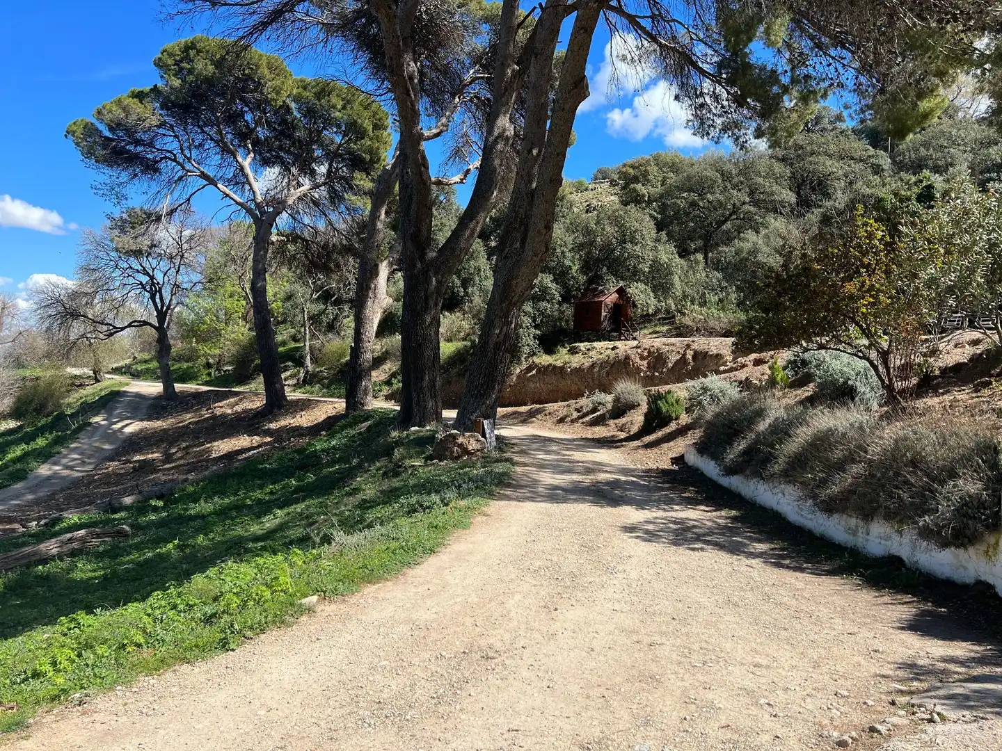 Vista exterior de Terreno en venta en Jaén