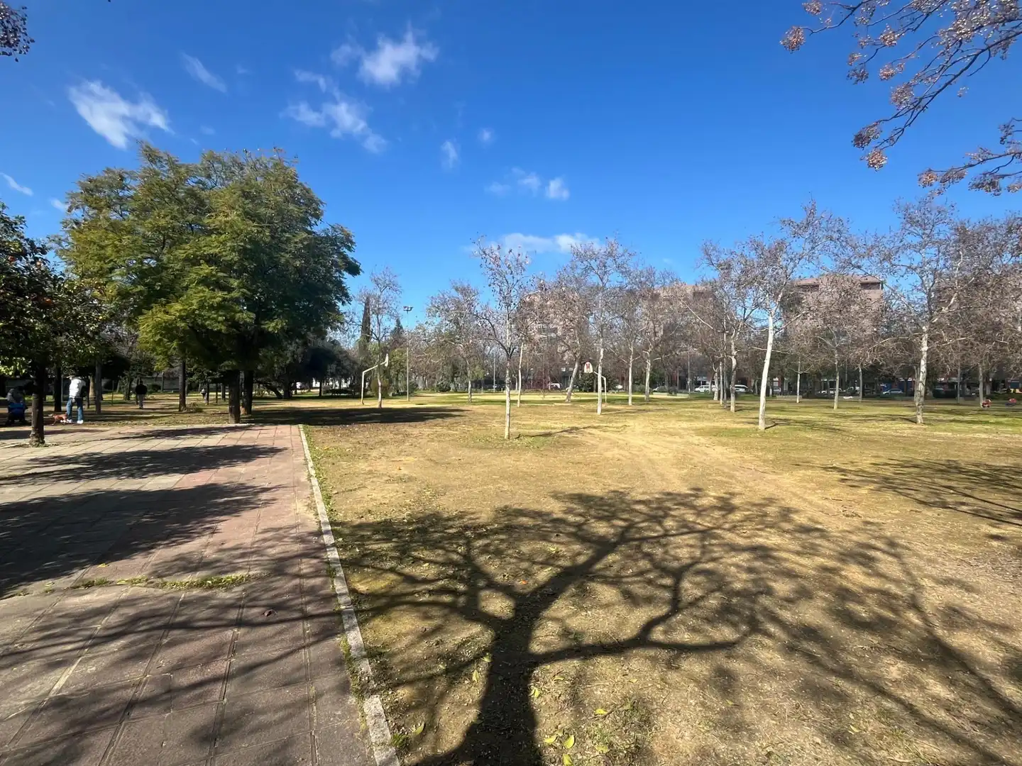 Vista exterior de Local en venta en Sevilla con Aire acondicionado y Amueblado