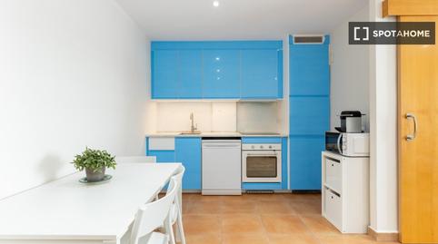 Photo 5 of Apartment to share in La Floresta, Barcelona