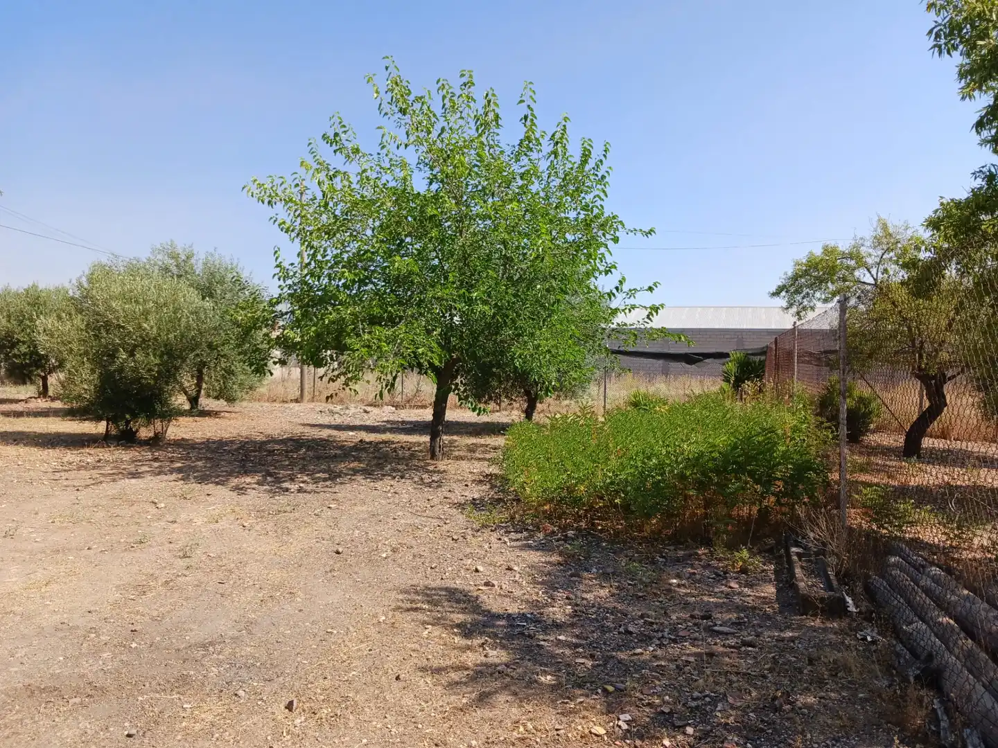 Finca rústica en venta en Ciudad Real con Amueblado