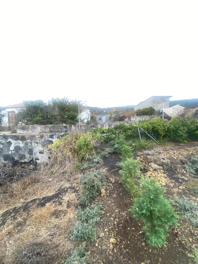 Finca rústica en venta en Los Llanos de Aridane con Jardín privado y Amueblado