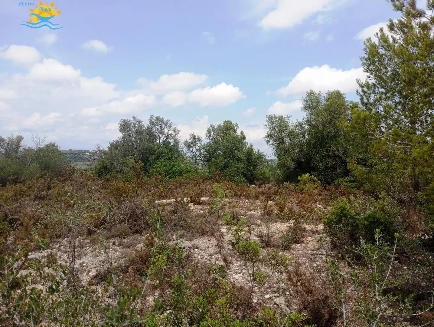 Maison rustique à vendre à CALIG CASTELLON 12589, imagen 10
