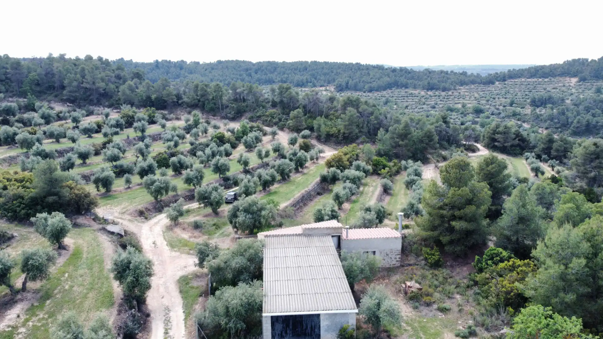 Land for sale in Juncosa