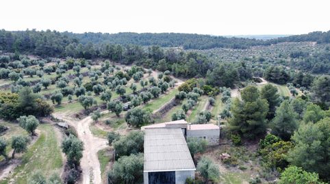 REBAIXADA!!! Finca rústica de més de 15 hectàrees amb casa en venda a Juncosa de les Garrigues, (Lleida), immagine 5