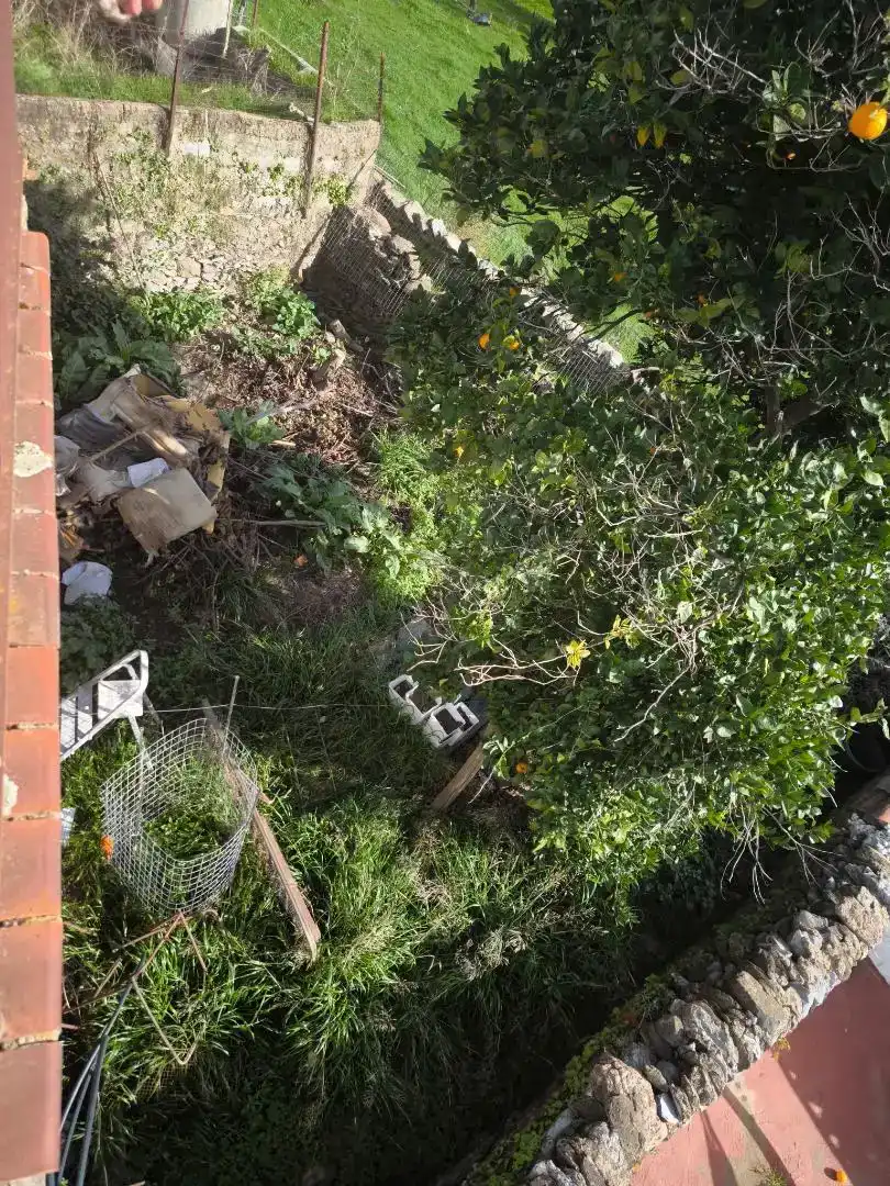 Jardí de Casa adosada en venda en Corteconcepción amb Jardí privat