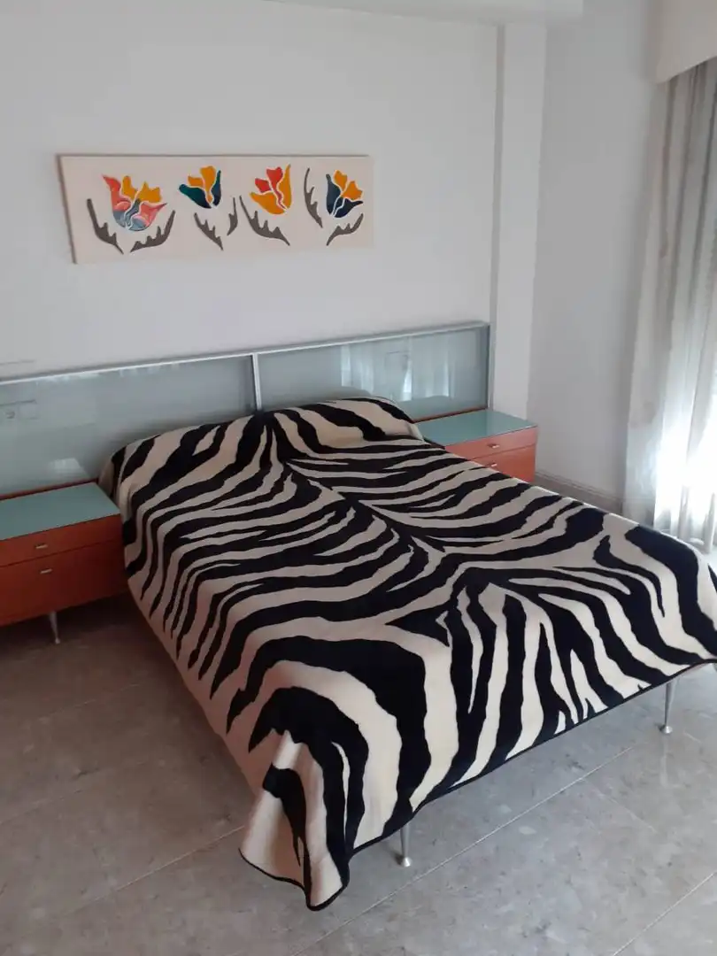 Duplex in vendita a C. Vicente Blasco IbaÃ±ez, imagen 7