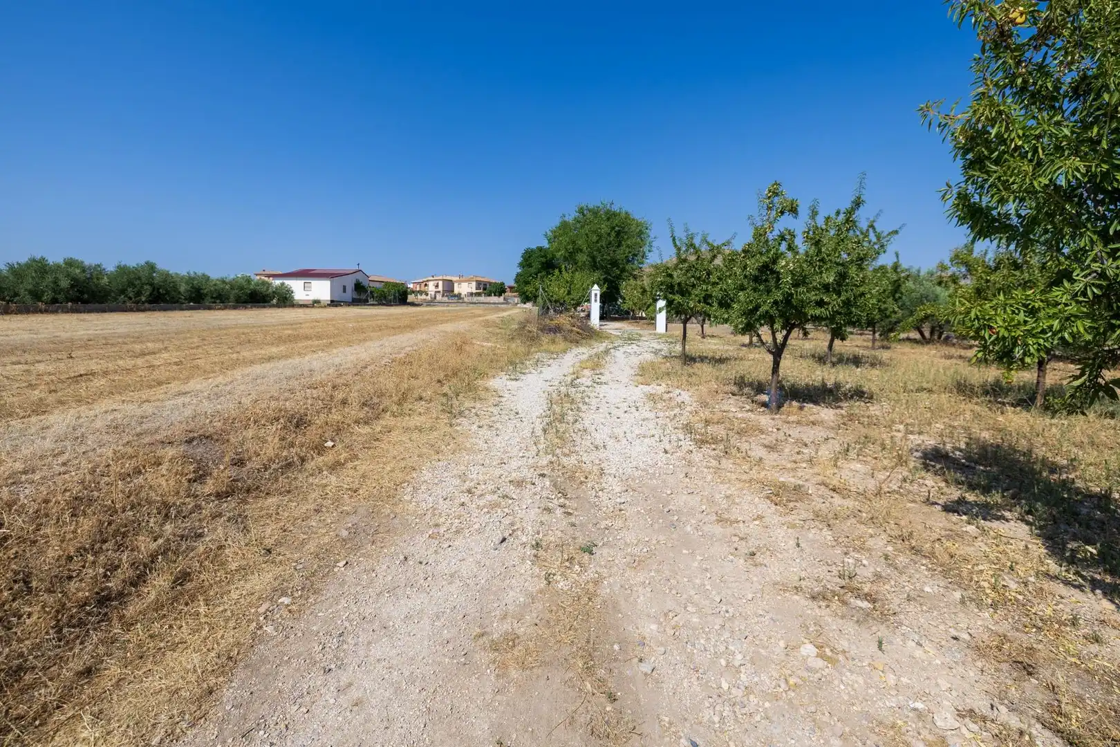 Casa o chalet en venta en Darro