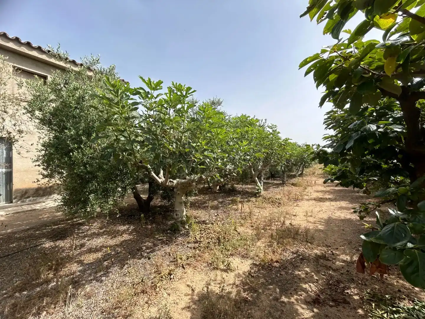 Finca rústica en venda en Vinyols i els Arcs amb Moblat