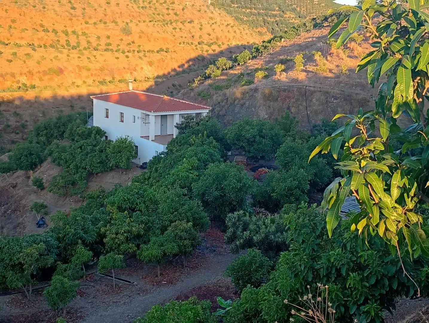 Casa en venta en Vélez-Málaga ciudad, imagen 7