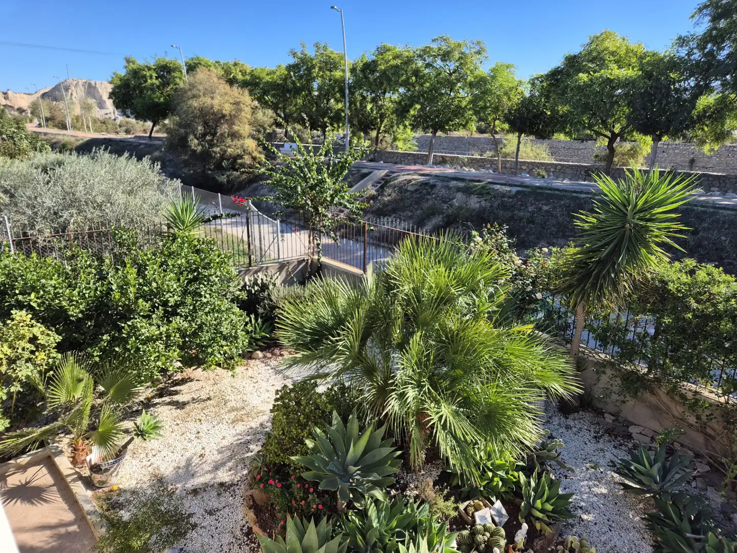 Vista exterior de Casa o xalet en venda en Albudeite amb Jardí privat, Terrassa i Moblat
