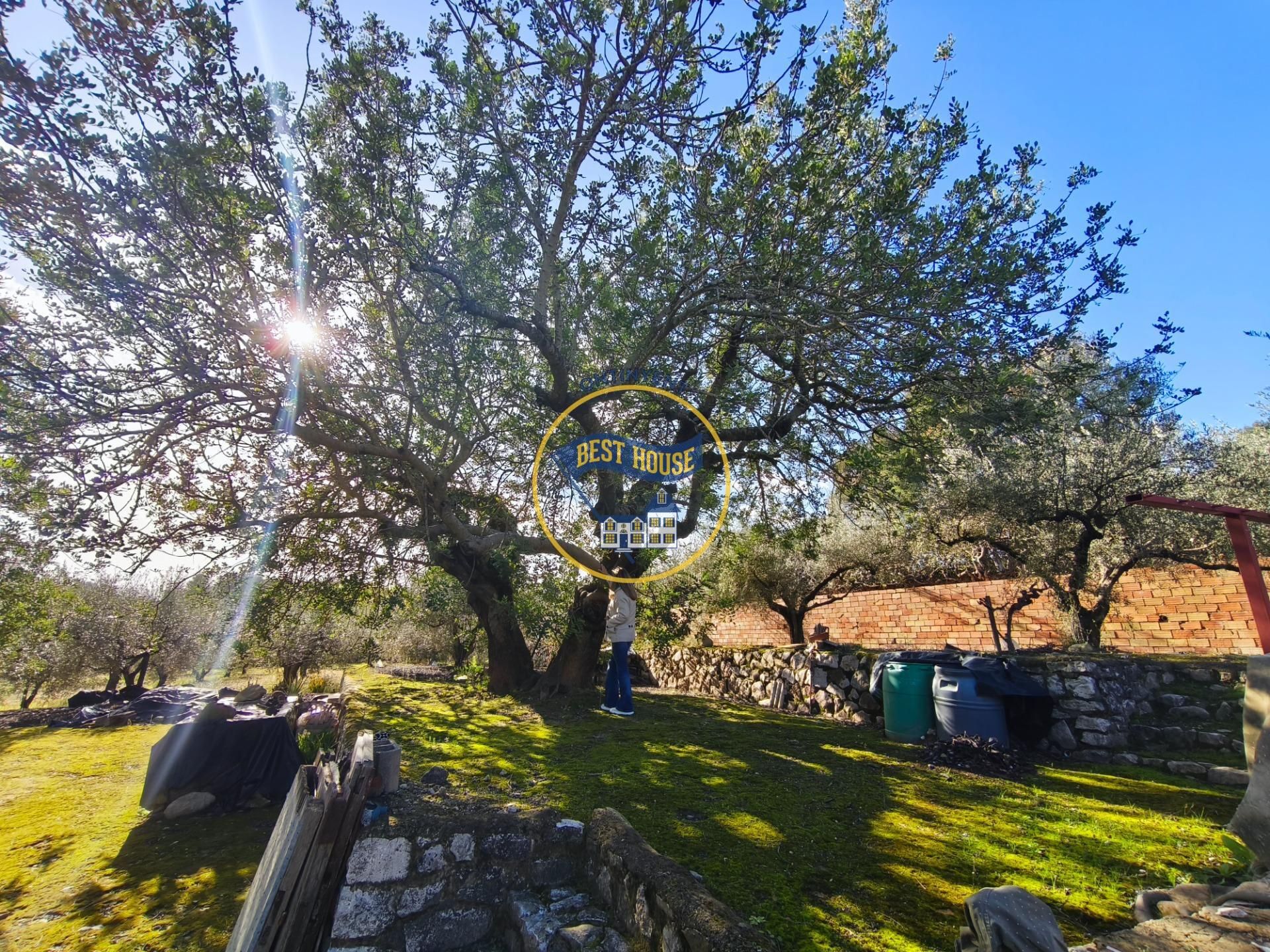 Residential zum verkauf in Ontinyent