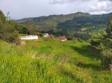 Terrenos y solares en venta en Candamo
