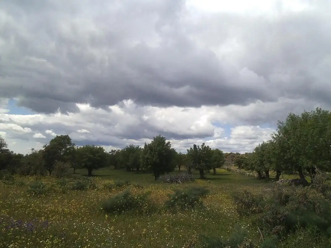 Residencial en venda en Valdemorillo