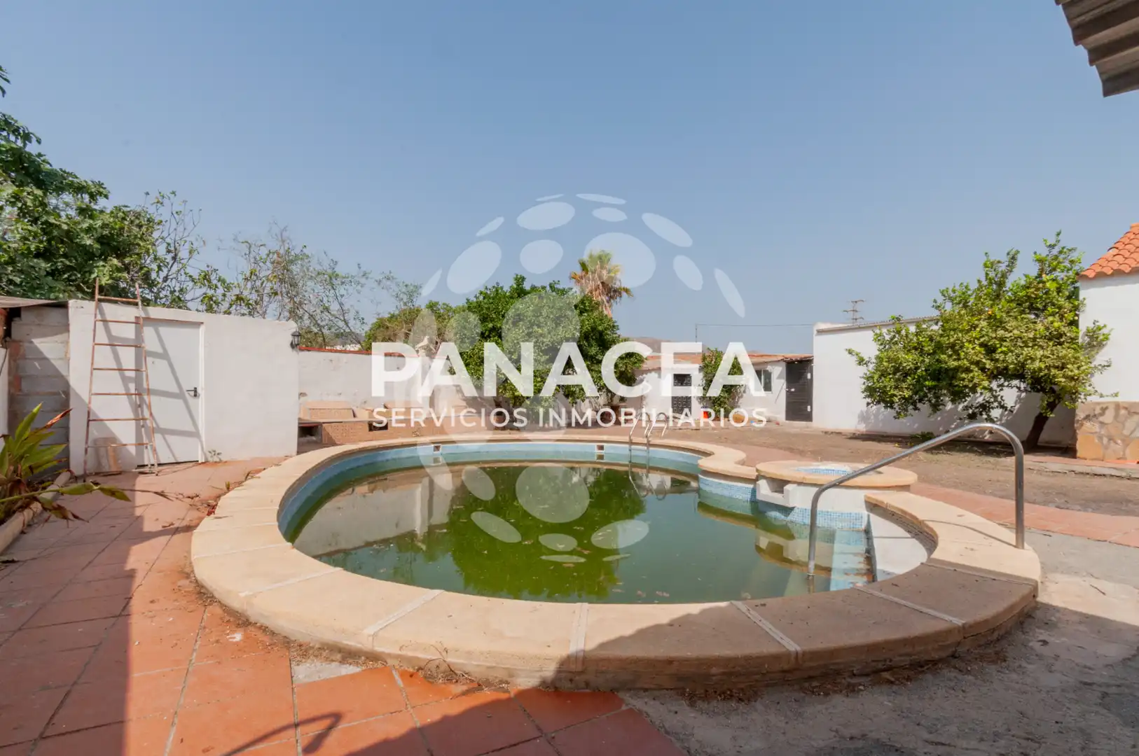 Vista exterior de Casa o xalet en venda en Pechina amb Jardí privat, Piscina i Moblat