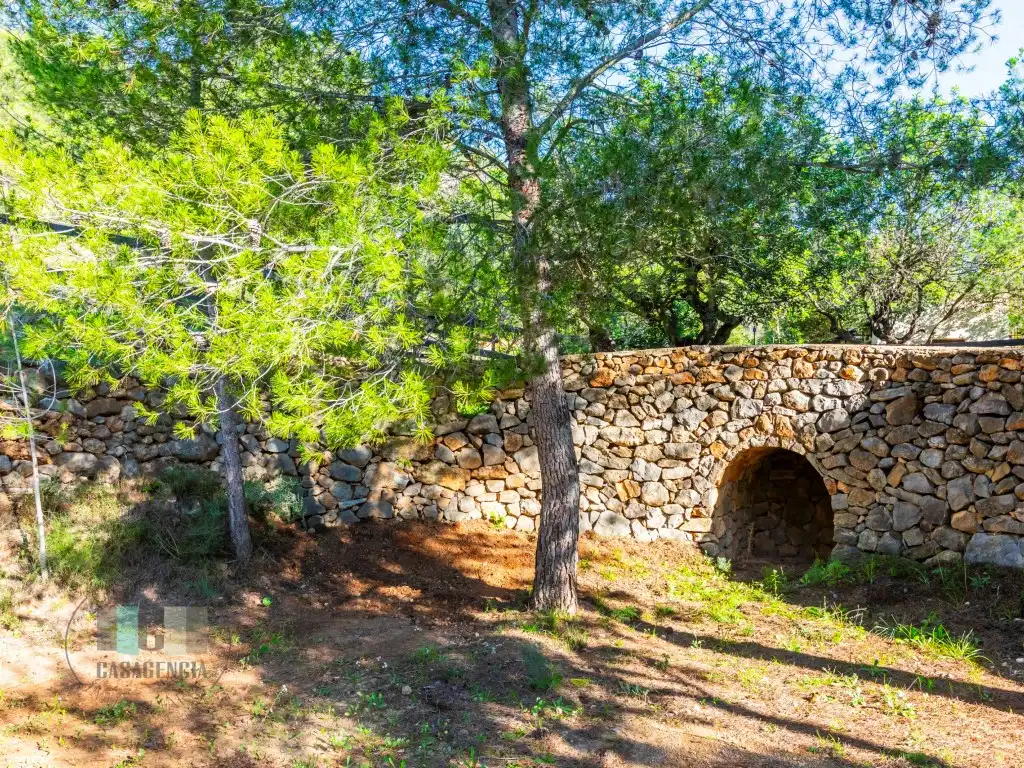 Commercial properties for sale in Calle Pedrapiquers (Dels), Borriol