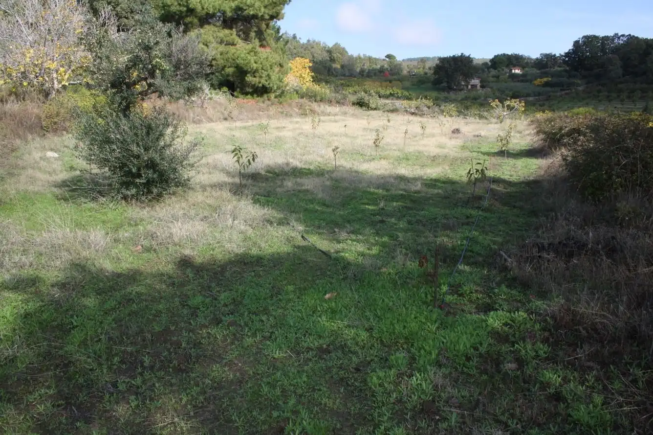 Finca rústica en venta en Torremenga con Jardín privado, Terraza y Amueblado