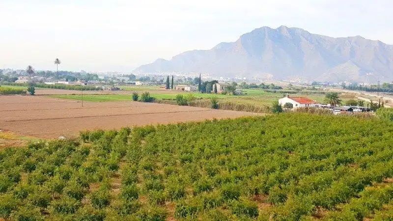Landhaus zum Verkauf in Callosa de Segura, imagen 40