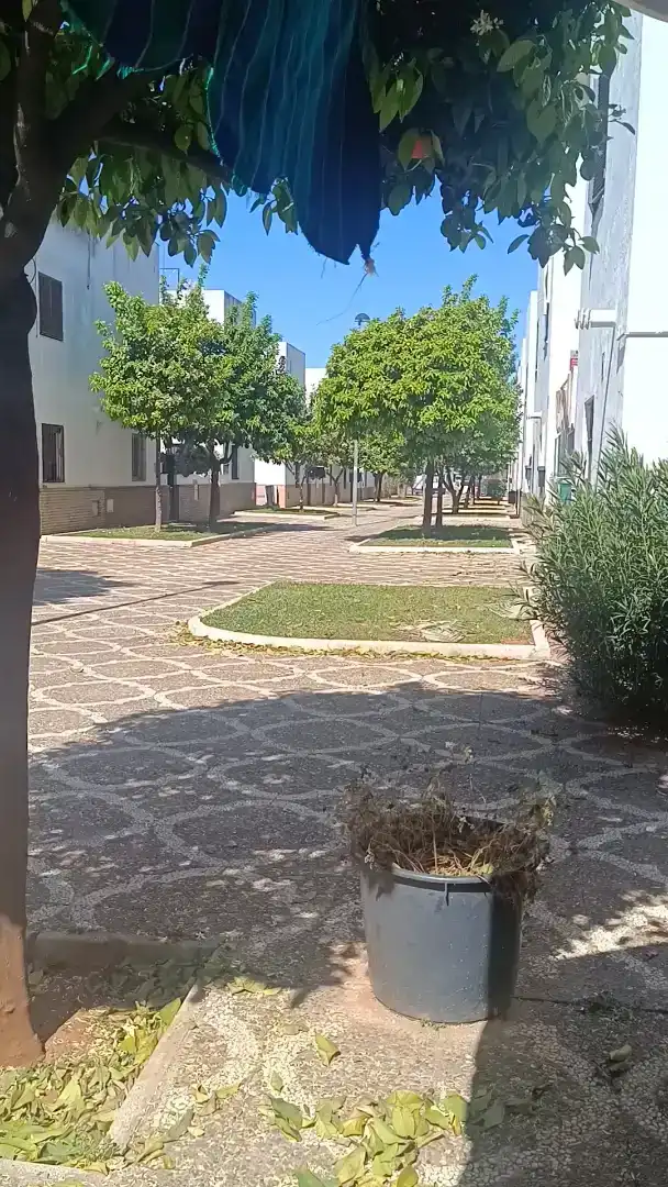 Vista exterior de Planta baja de alquiler en Dos Hermanas con Aire acondicionado