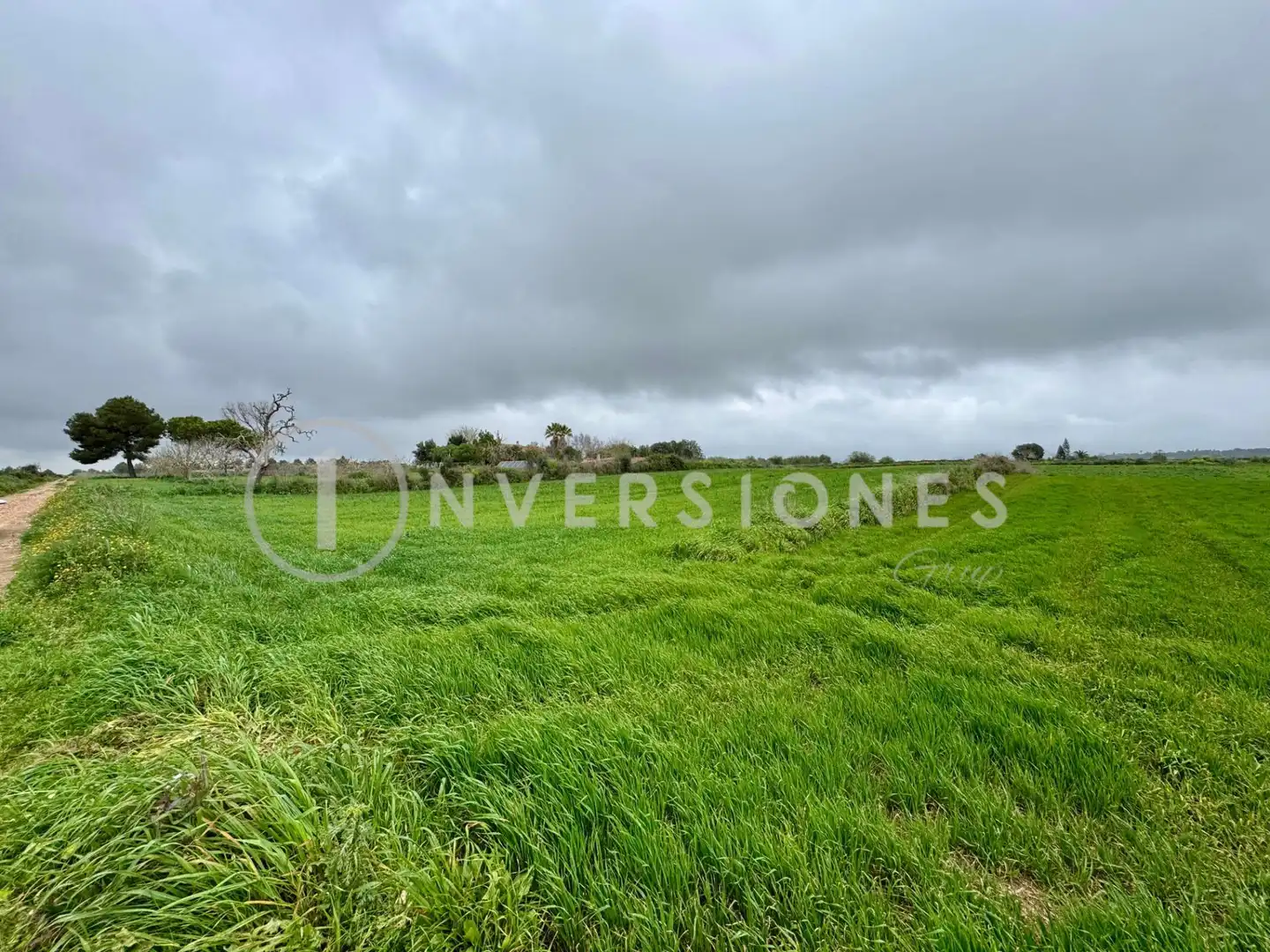Terreno residenziale in vendita a Cogolla, imagen 13