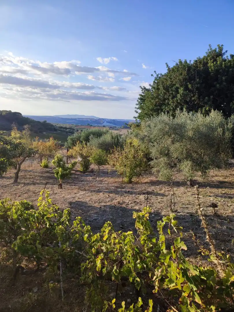 Casa rústica en venda a Arcos de la Frontera, imagen 19