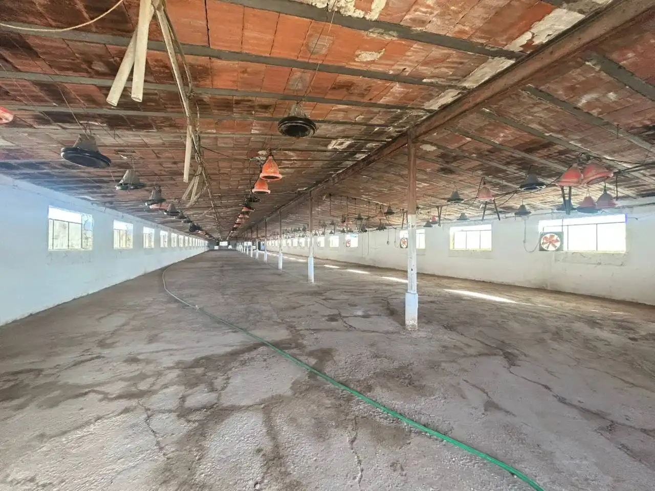 Nave industrial en venta en Polán