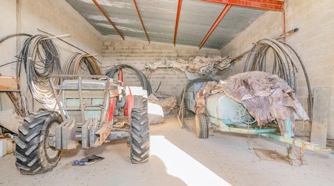 Olivar ecológico en Granada, immagine 3