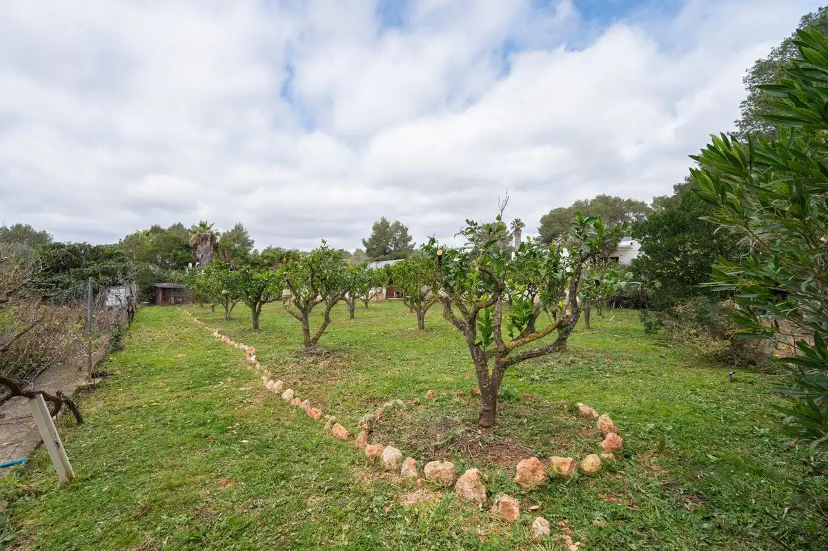 Maison avec jardin à vendre à Diseminado P 26 Sta Gertrudis, imagen 46