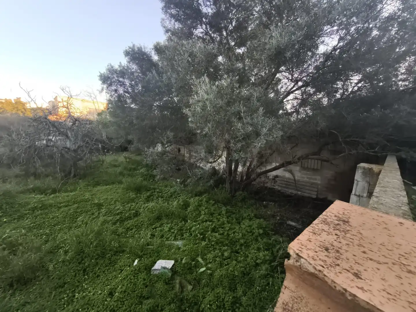Terreni e lotti in vendita a La Casería - San Carlos, imagen 8