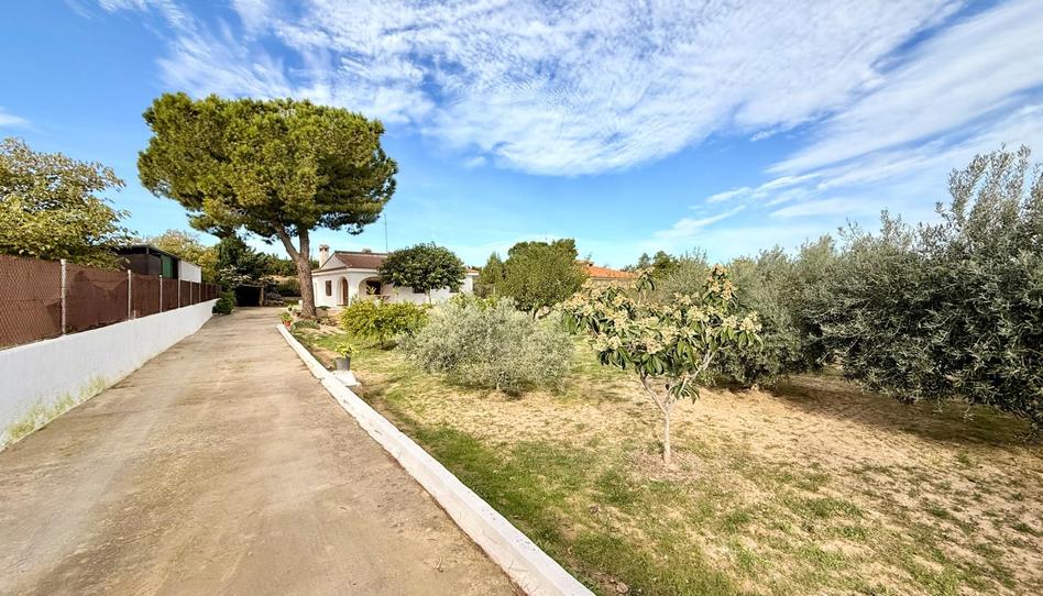 Foto 1 de Casa o xalet en venda a Poligono Mas del Jutge, Valencia