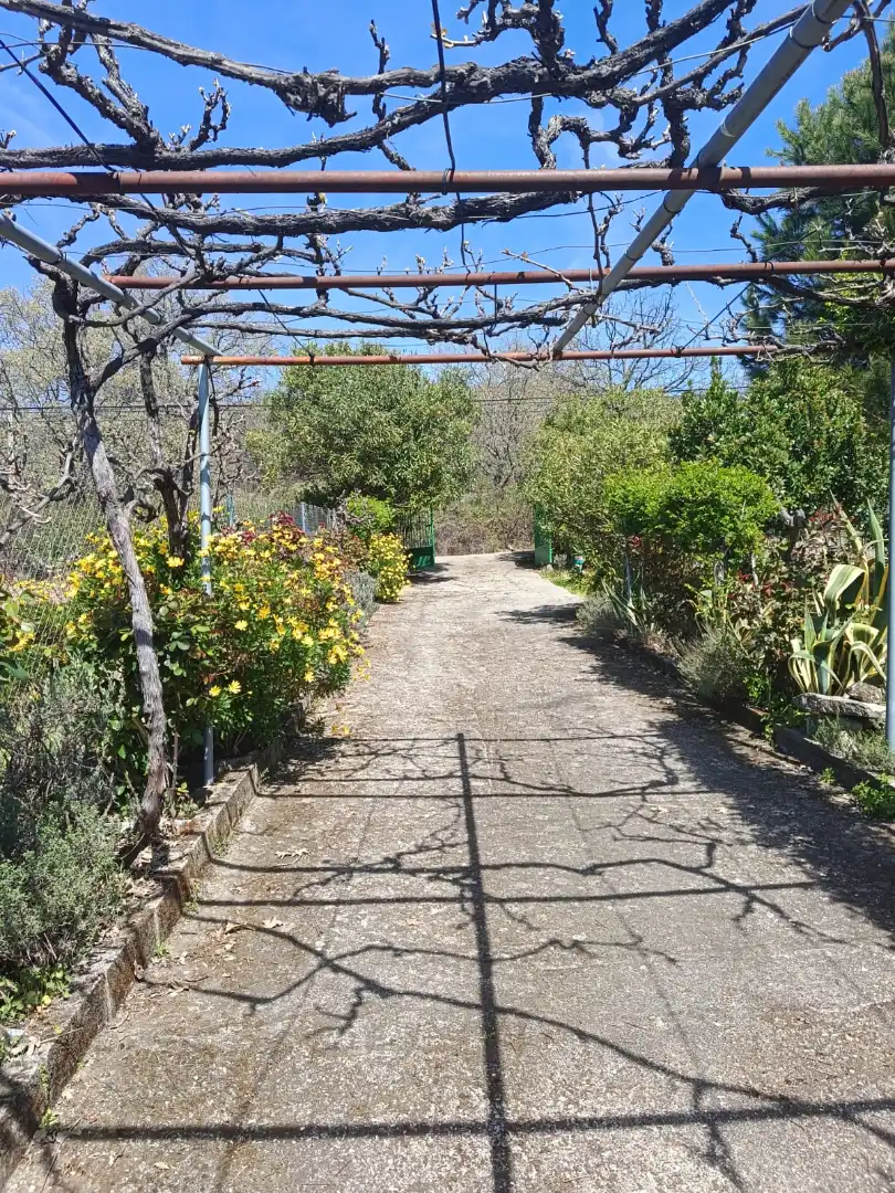 Garden of Land for sale in Jarandilla de la Vera