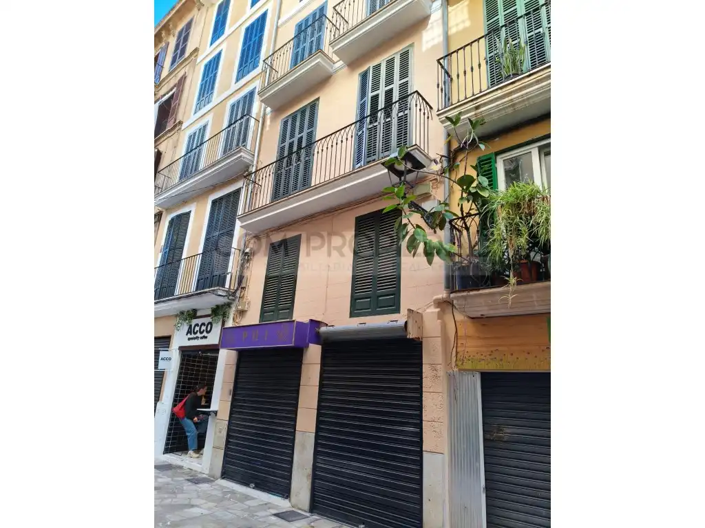 Exterior view of Buildings for sale in  Palma de Mallorca