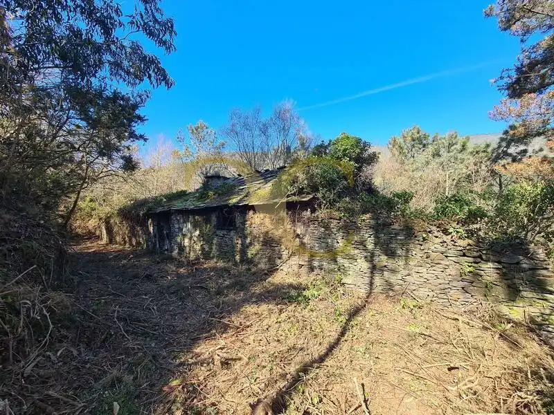 Casa o xalet en venda en Villayón amb Jardí privat