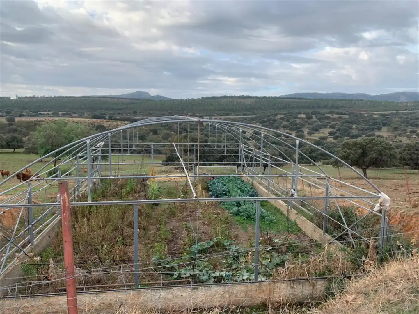 Country homes for sale in Garbayuela  with Private garden, Storage room and Swimming Pool