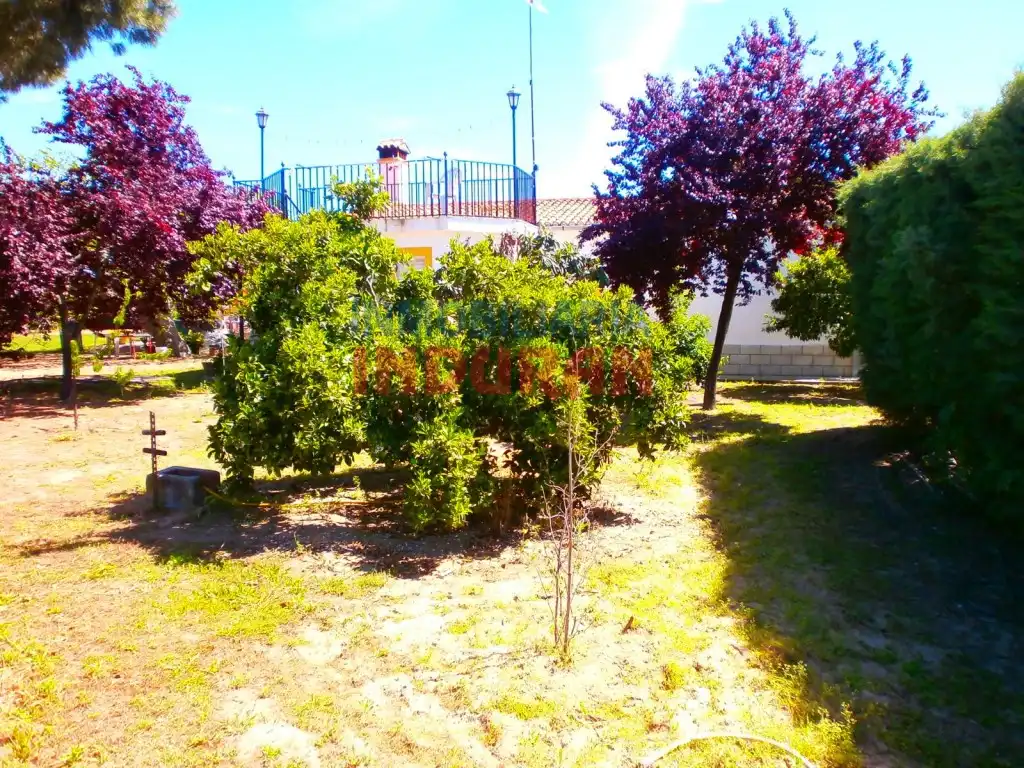 Jardí de Finca rústica en venda en Saucedilla