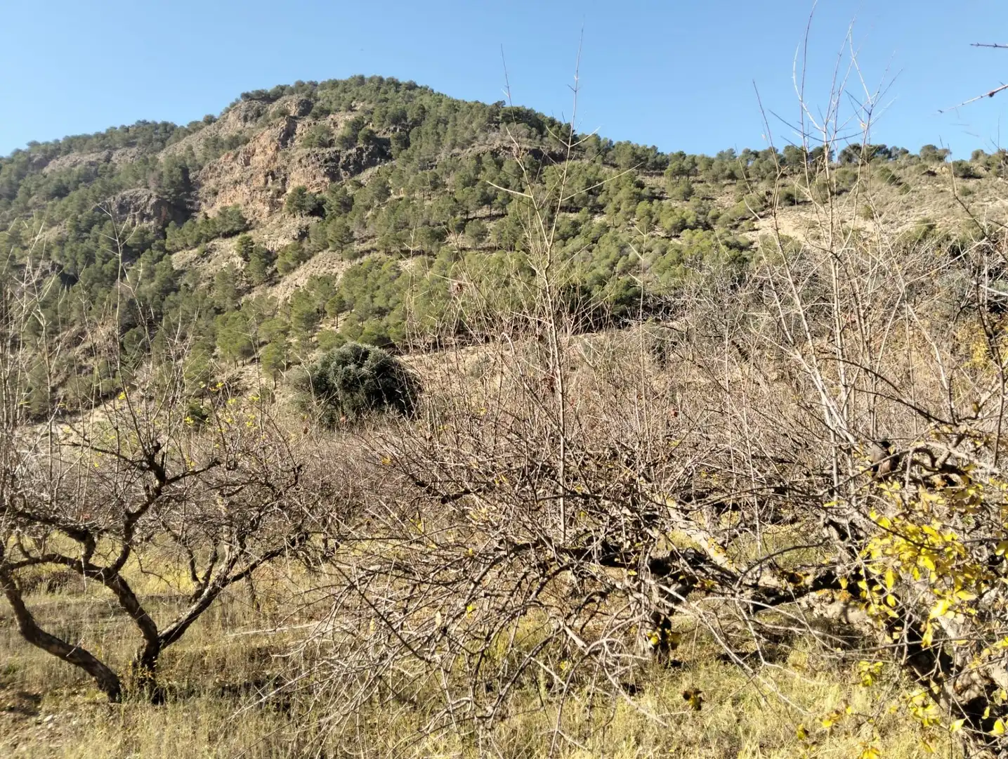 Rural land for sale in Villamena, imagen 6