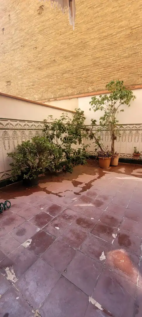 Piso con jardín en venta en Carrer del Cardenal Reig 28, imagen 14