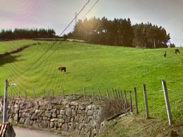 Terreni e lotti in vendita a Rural