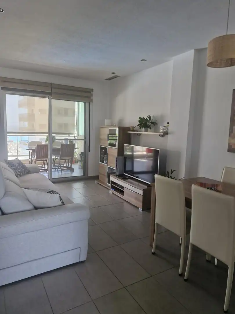 Living room of Flat for rent in Elche / Elx  with Air Conditioner, Balcony and Community pool