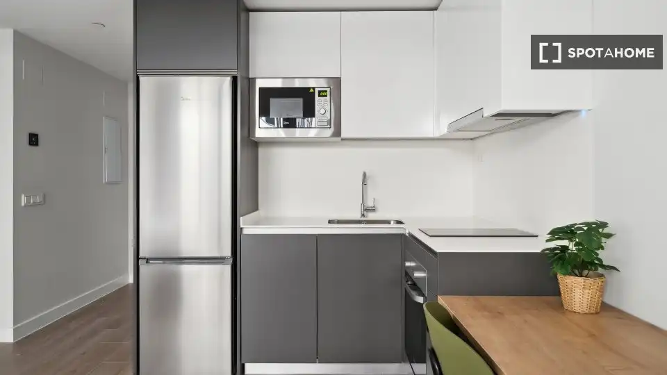 Cocina de Piso de alquiler en Madrid con Aire acondicionado, Calefacción y Amueblado