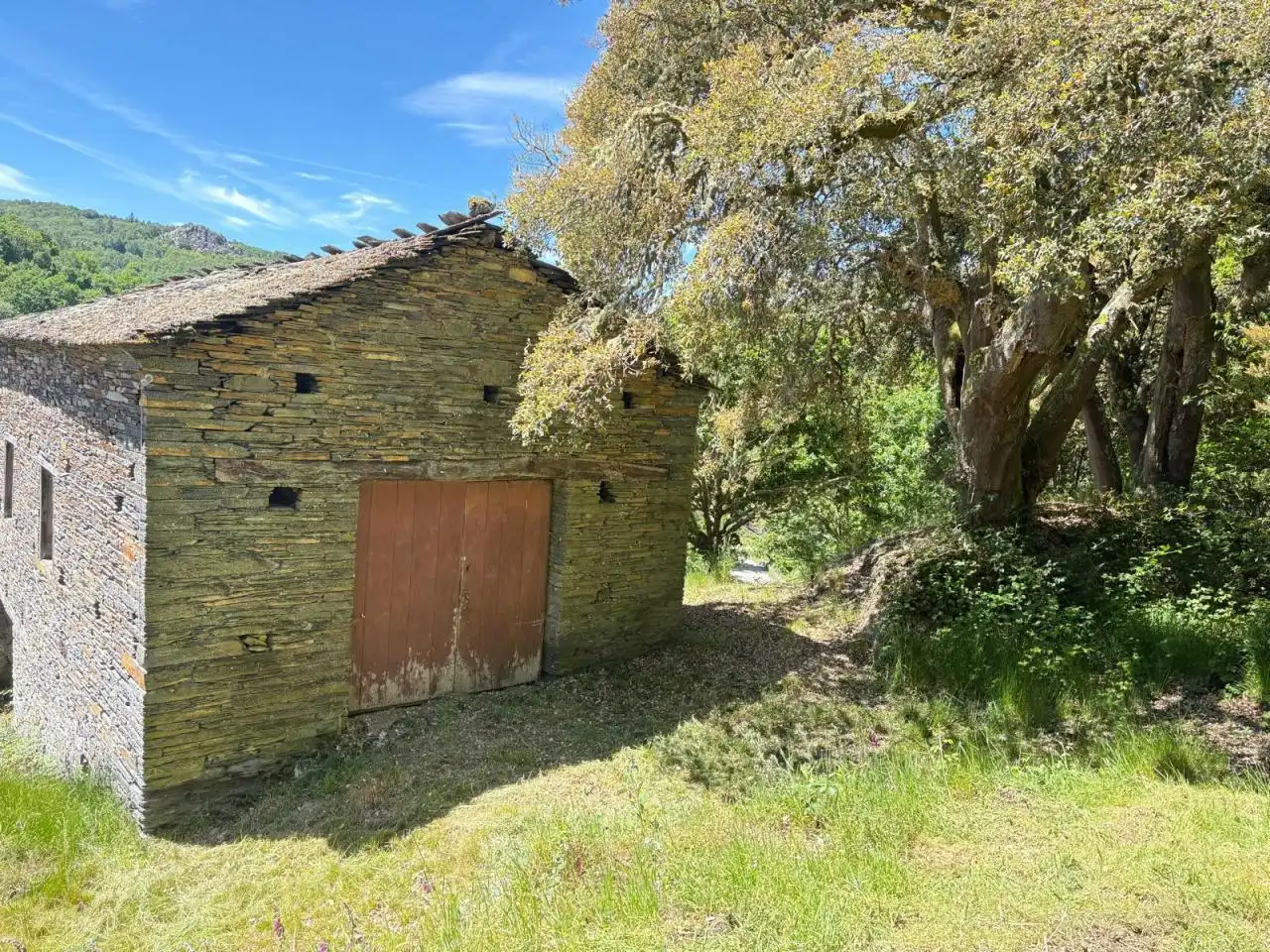 House with garden for sale in Villanueva de Oscos, imagen 22