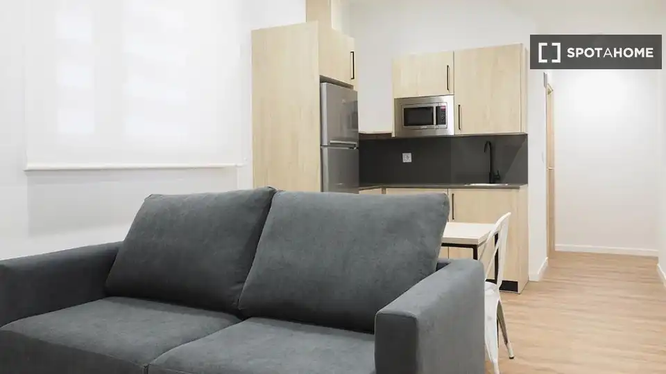 Living room of Flat for share in Bilbao   with Air Conditioner, Heating and Furnished