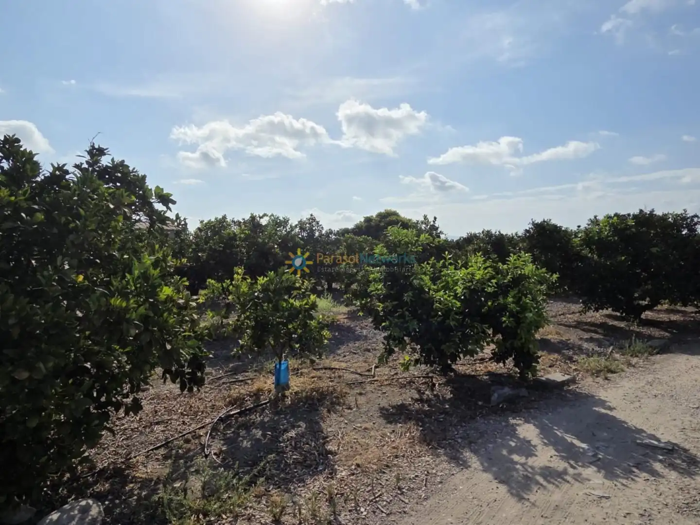 Finca rústica en venta en Senyera con Jardín privado y Terraza