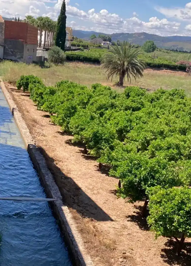 Casa adosada en venda en Càrcer amb Balcó