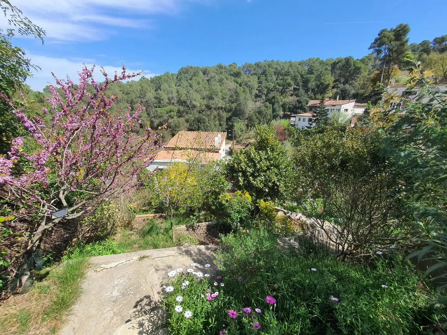 Jardí de Casa o xalet en venda en Sant Cugat del Vallès amb Calefacció, Jardí privat i Terrassa